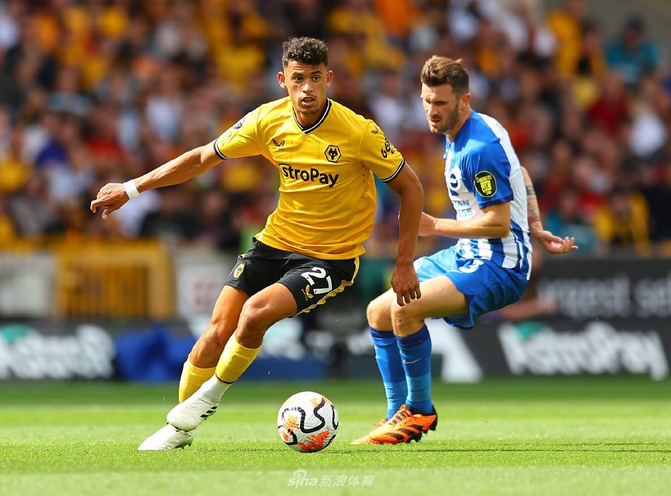 青出于蓝而 青出于蓝而